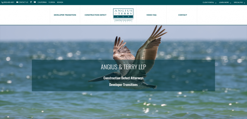 Attorney Angius & Terry LLP
