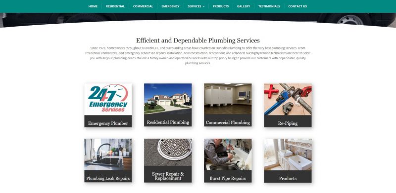 Dunedin Plumbing