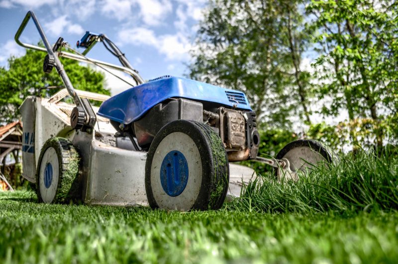 Bay Area Grounds, Inc.